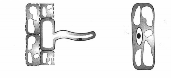 Задание рисунок 2