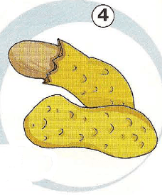 Задание рисунок 4