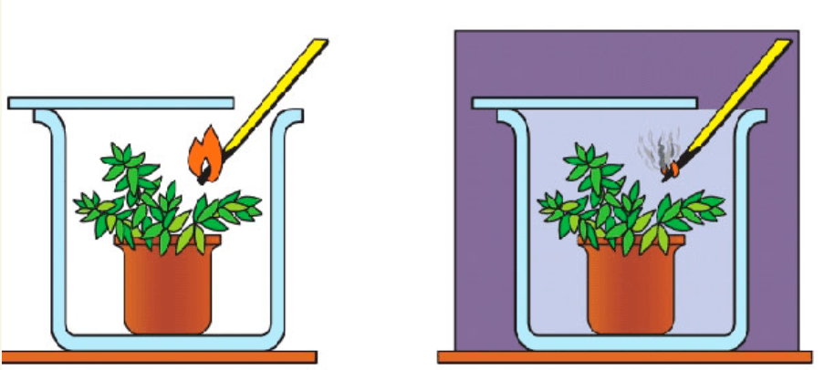 Решение рисунок 1