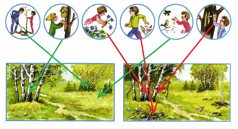 Решение рисунок 1