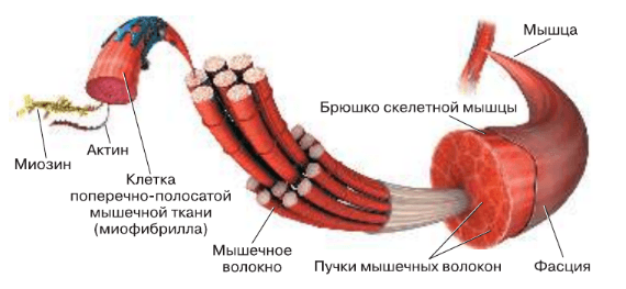Решение рисунок 1